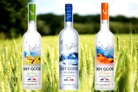 2023'ün en iyi 10 votkası: Stolichnaya, Grey Goose ve daha fazlası!.